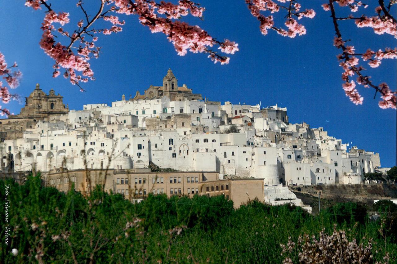 Casa Carlotta Villa Ostuni Buitenkant foto